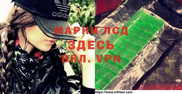 прущие грибы Нея
