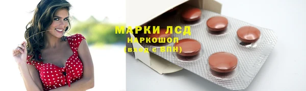 прущие грибы Нефтегорск