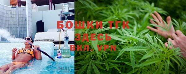 прущие грибы Нея