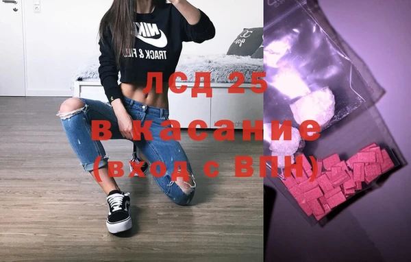 прущие грибы Нея