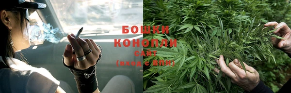 прущие грибы Нея