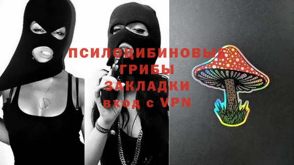 прущие грибы Нея