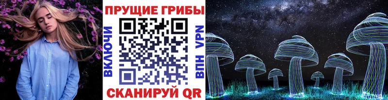 Галлюциногенные грибы GOLDEN TEACHER  наркотики  Тутаев 